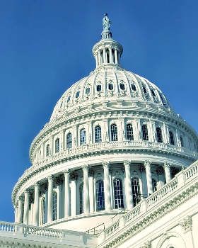 This photo of the United States Capitol dome - representative of the US seat of government -  was taken by Michael Slonecker of Windermere, Florida.